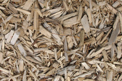 biomass boilers Little Mascalls